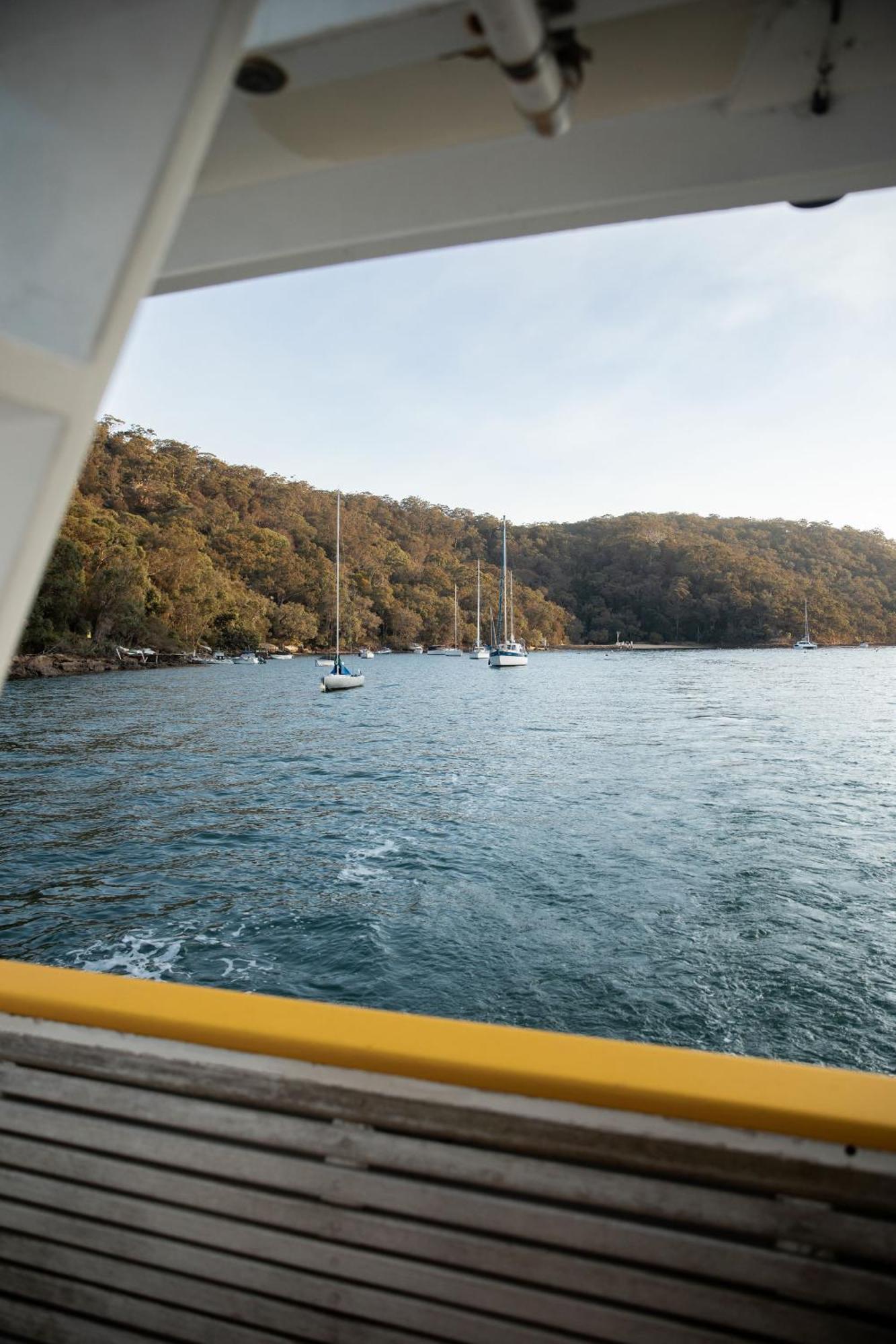 Cape Mackerel Cabin With Magic Palm Beach & Pittwater Views Villa Great Mackerel Beach Exterior photo
